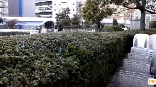 亚洲色无码中文字幕yy51999
